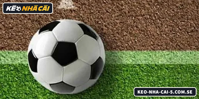 Giải thích kèo chấp 0.25 dễ hiểu cho người mới