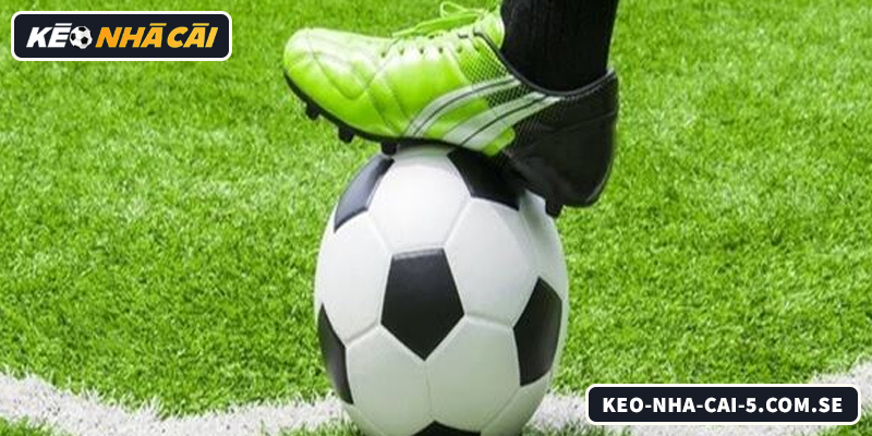 Kèo Chấp 0.25 Là Gì? Cách Đọc Và Tính Tiền Chuẩn