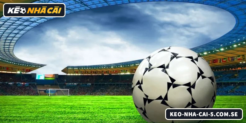 Kèo Chấp 1/2 Là Gì? Cách Hiểu Và Đọc Kèo Chuẩn Nhất